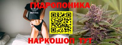 соль ск Пугачёв