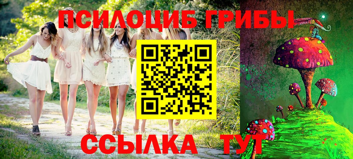 Галлюциногенные грибы Psilocybe  Вход с VPN  Троицк 